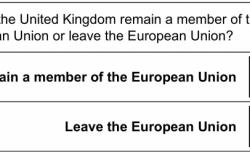 referendum, Brexit, remain, vote 2016, Britain, EU