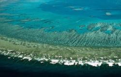 Australia, Climate Change and the Great Barrier Reef