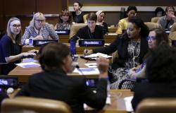 Absent or Invisible? Women Mediators and the United Nations