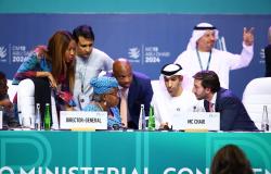 “A Rather Sober Experience”: Insights from the WTO's 13th Ministerial Conference