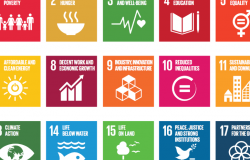 How to Start Interacting with the SDGs