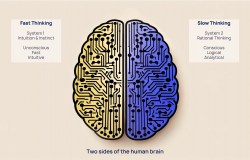 Causal AI: the revolution uncovering the ‘why’ of decision-making