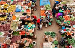 Africa has a New Agenda for its Next Decade of Agrifood Systems Transformation. Now What?