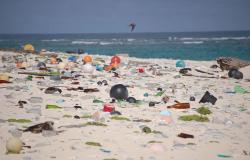 Designing New Ways to Make Use of Ocean Plastic
