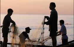 Is EU ‘ Carding Forcing Vietnam to Address Illegal Fishing?