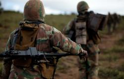 Mozambique’s “War on Terror”: Why are Regional Troops Withdrawing? 