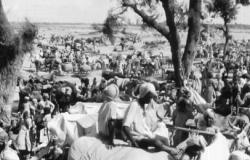 Critical Voices in Critical Times: The Partition of India – Lessons Learned, an interview with Rajmohan Gandhi Critical Voices in Critical Times: The Partition of India – Lessons Learned, an
