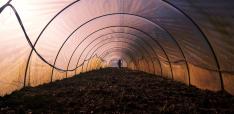 An Evolutionary Perspective on the Implementation of the United Nations Sustainable Development Goals An Evolutionary Perspective on the Implementation of the United Nations Sustainable Development Goals
