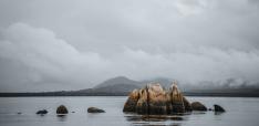 Radical Reform of the International Investment Treaty Regime: A Role for Climate Clubs? Radical Reform of the International Investment Treaty Regime: A Role for Climate Clubs?