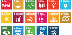 Sustainable Development Goals and their Fit with Good Governance