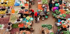 Africa has a New Agenda for its Next Decade of Agrifood Systems Transformation. Now What?