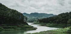 The Case for Strengthening Indonesia–UAE Relations Through the Tropical Forest Forever Facility (TFFF) The Case for Strengthening Indonesia–UAE Relations Through the Tropical Forest Forever Facility (TFFF)