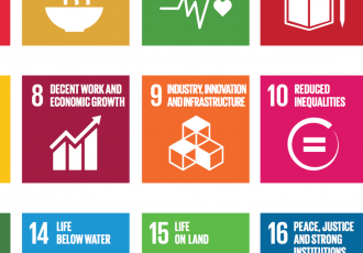 Sustainable Development Goals and their Fit with Good Governance