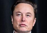 Musk’s support for the extreme right points to the necessity of democratic transformation – in Germany and beyond