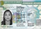 immigration, crime, u visa, American, green card, law, policy, whistleblower