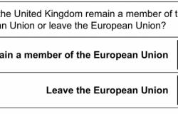 Ballot Paper (2016 Referendum) referendum, Brexit, remain, vote 2016, Britain, EU