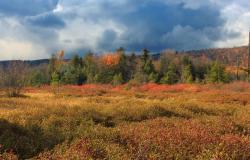 Five Maps that Reveal the World’s Remaining Wilderness