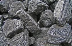 Institutional Investors and Coal – Beyond Reputational Damage? Institutional Investors and Coal – Beyond Reputational Damage?