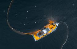 How private corporations stole the sea from the commons How private corporations stole the sea from the commons