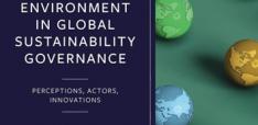 The Environment in Global Sustainability Governance: Perceptions, Actors, Innovations 