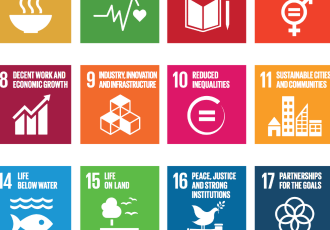 Knowledge and Politics in Setting and Measuring the SDGs: Introduction to Special Issue