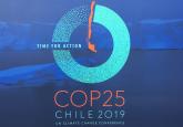 COP 25 - Domestic Divisions Overshadow Climate Prospects