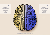 Causal AI: the revolution uncovering the ‘why’ of decision-making