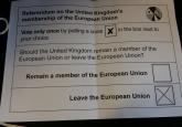 Voting Behaviour, Age and Geographic Location: Which are the Strongest Determiners of Stance on Immigration?