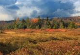 Five Maps that Reveal the World’s Remaining Wilderness