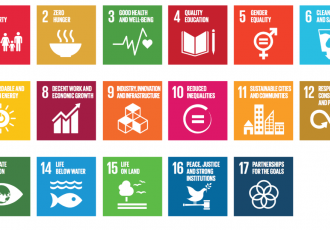 Knowledge and Politics in Setting and Measuring the SDGs: Introduction to Special Issue